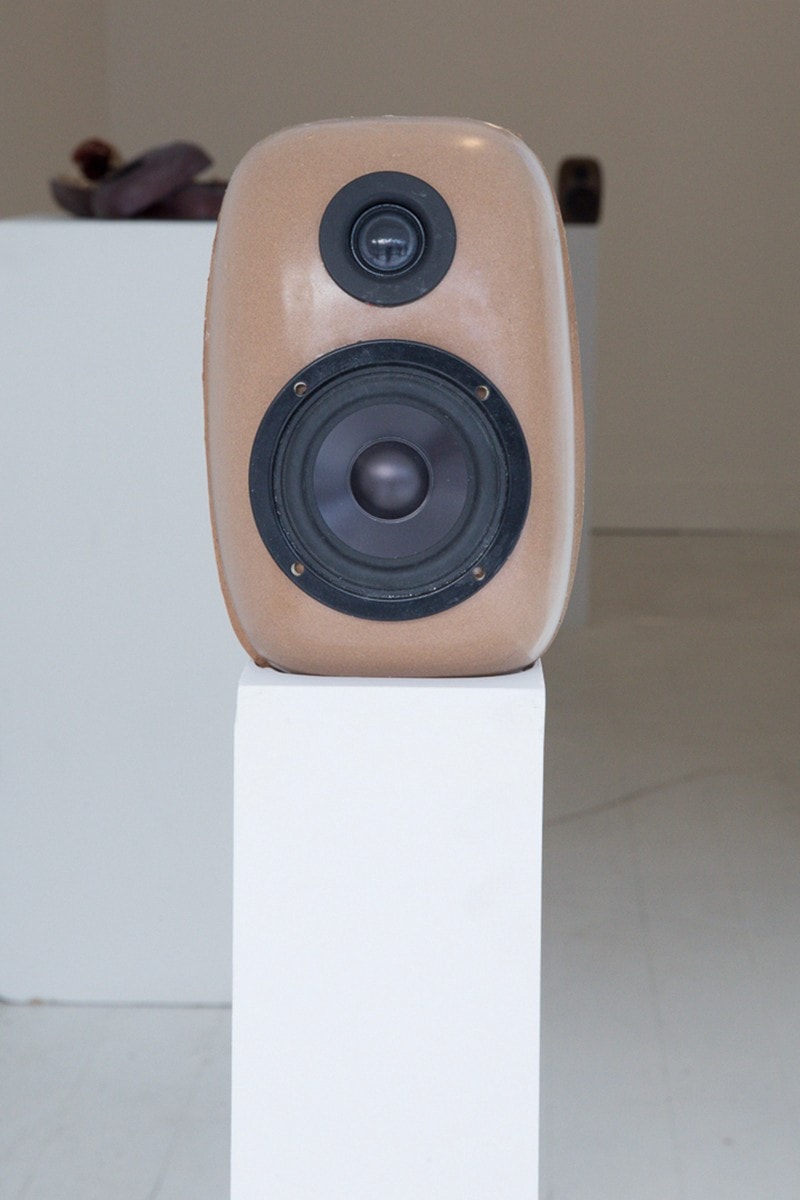 EDEN Power Corp 携手 MYCOAUDIO 推出 Mycelium Mushroom 扬声器