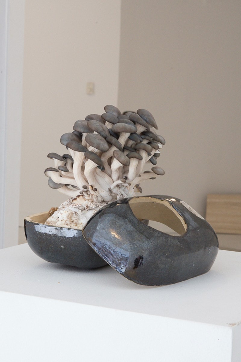 EDEN Power Corp 携手 MYCOAUDIO 推出 Mycelium Mushroom 扬声器