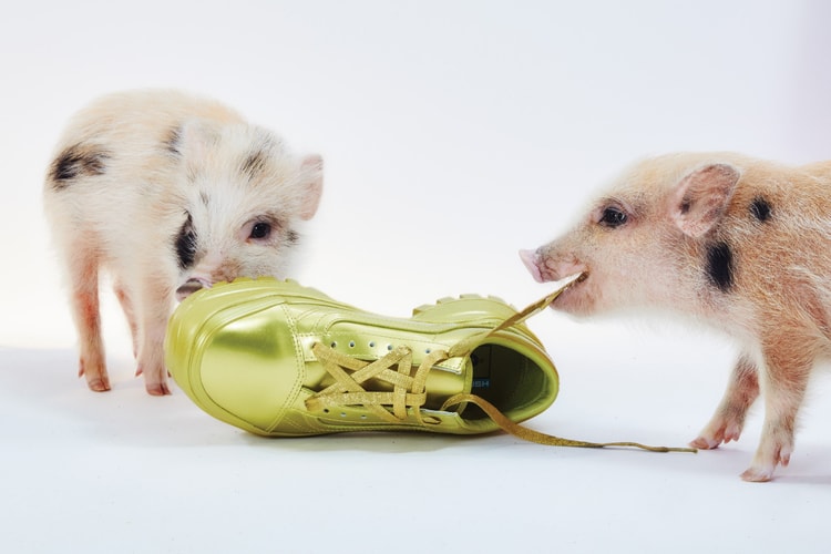 Vans 携手 Collina Strada 推出联名鞋服系列