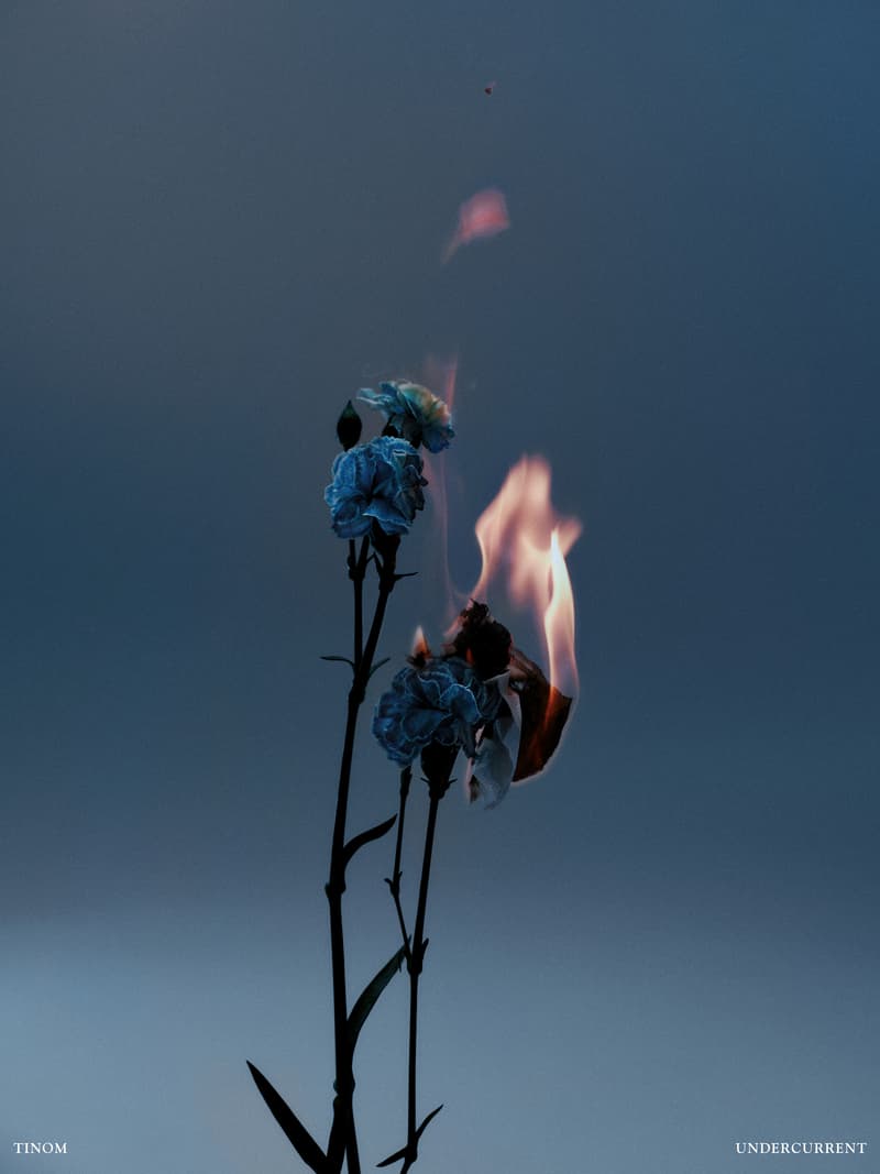 TINOM 发布全新「Undercurrent Collection 潜流系列」