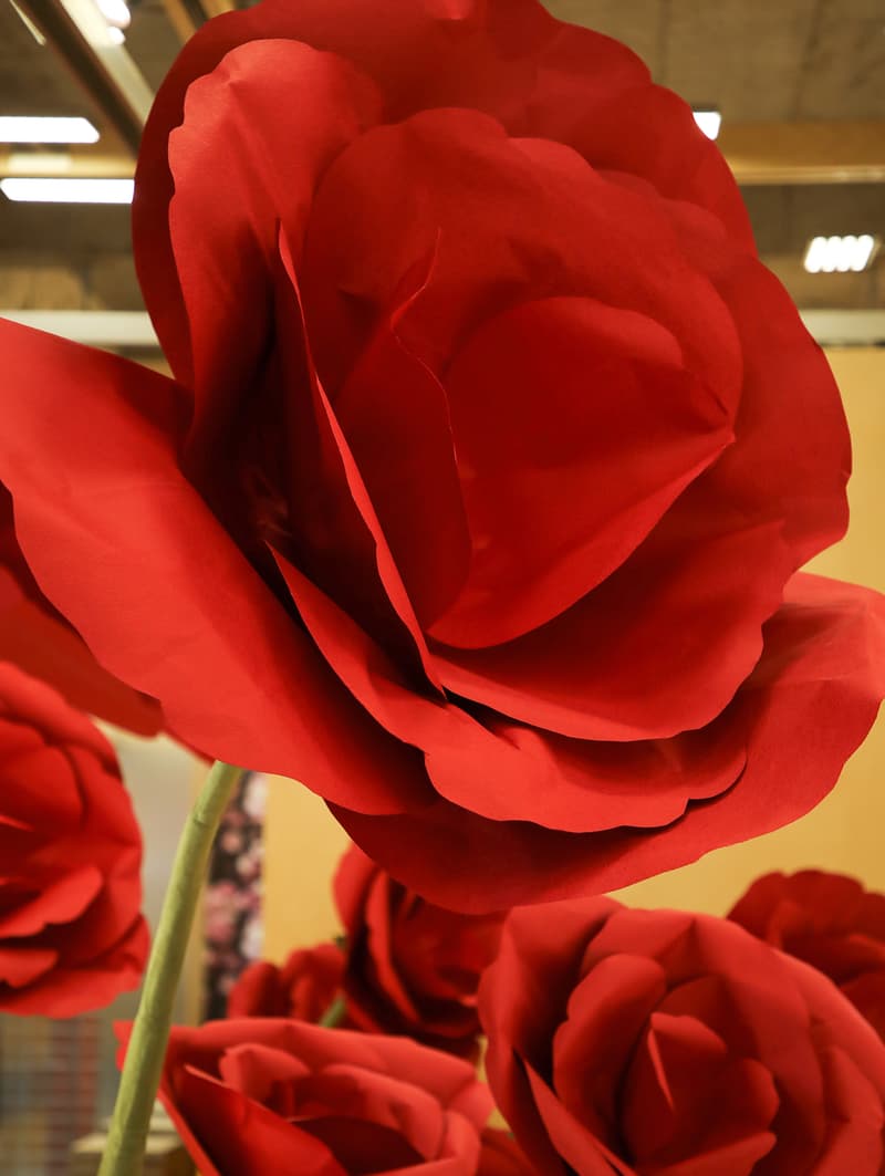 走进 drew house 全新「infinite love flower shop」无限爱快闪花店