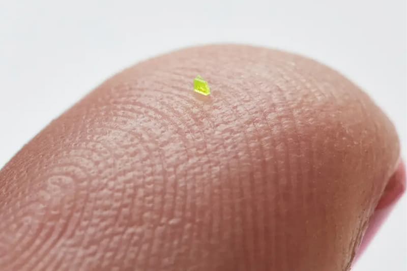 MSCHF 打造全新企划「Microscopic Handbag」