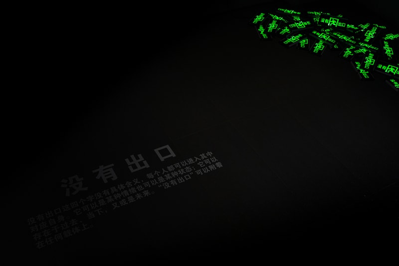 5A LABO 举办青年艺术家薛熳个展《转 TRANSFORM 》