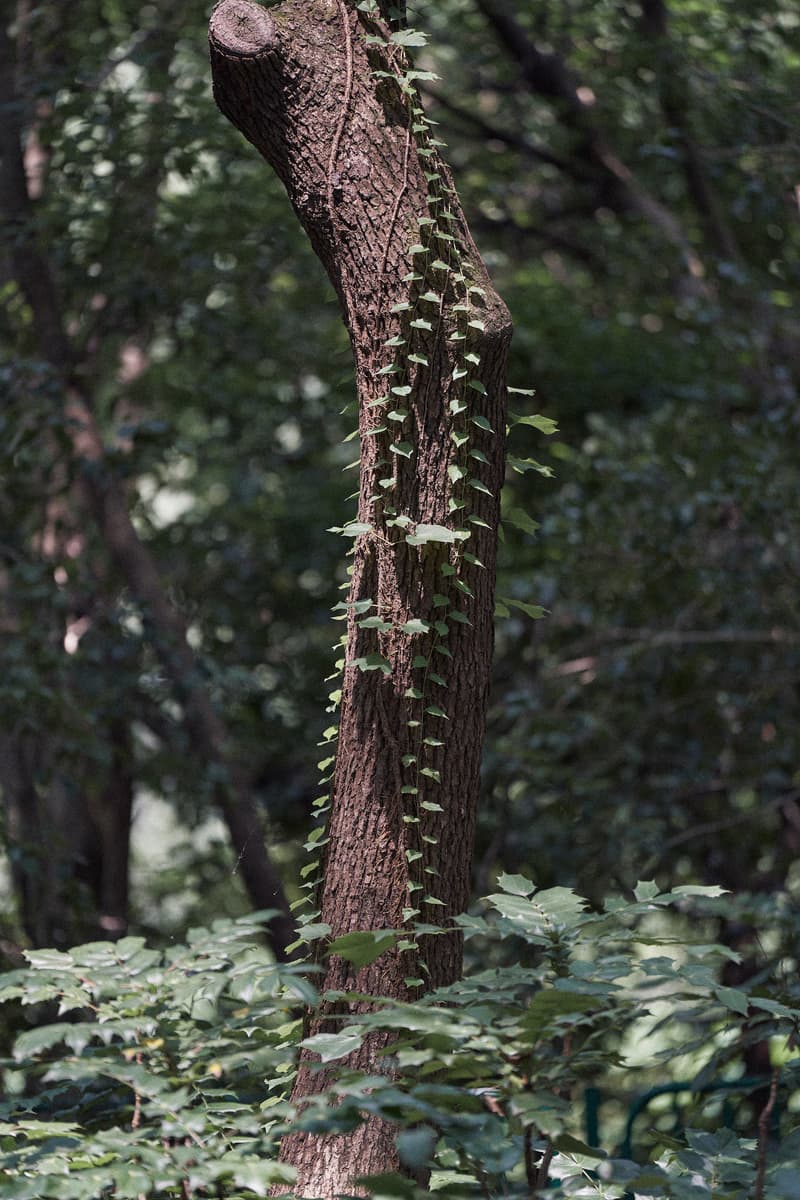 Goldwin 携手 DOE 打造 2023 夏季联名系列