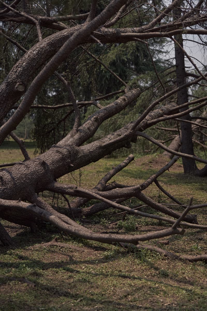 Goldwin 携手 DOE 打造 2023 夏季联名系列