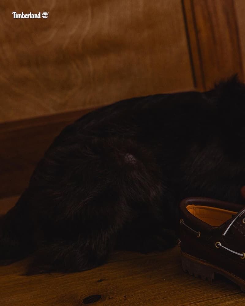 Timberland × BEAMS 正式推出全新聯名鞋款