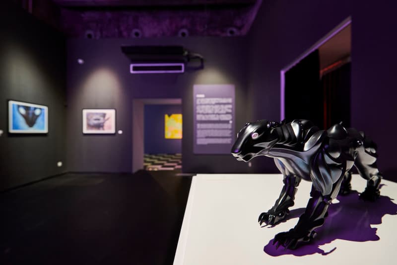 走进日本艺术家天野喜孝个展「缀·梦 Dreamer」