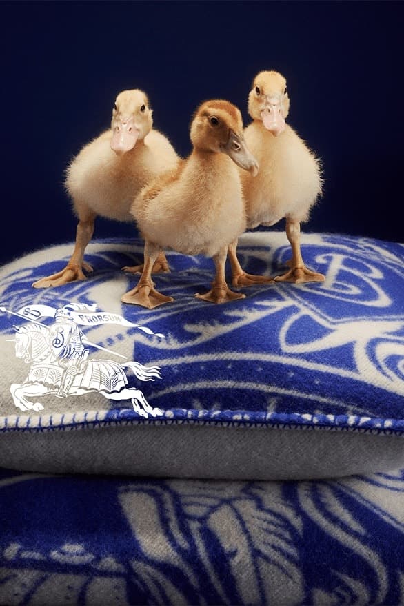 Burberry 正式推出全新「2023 Holiday Gift」系列