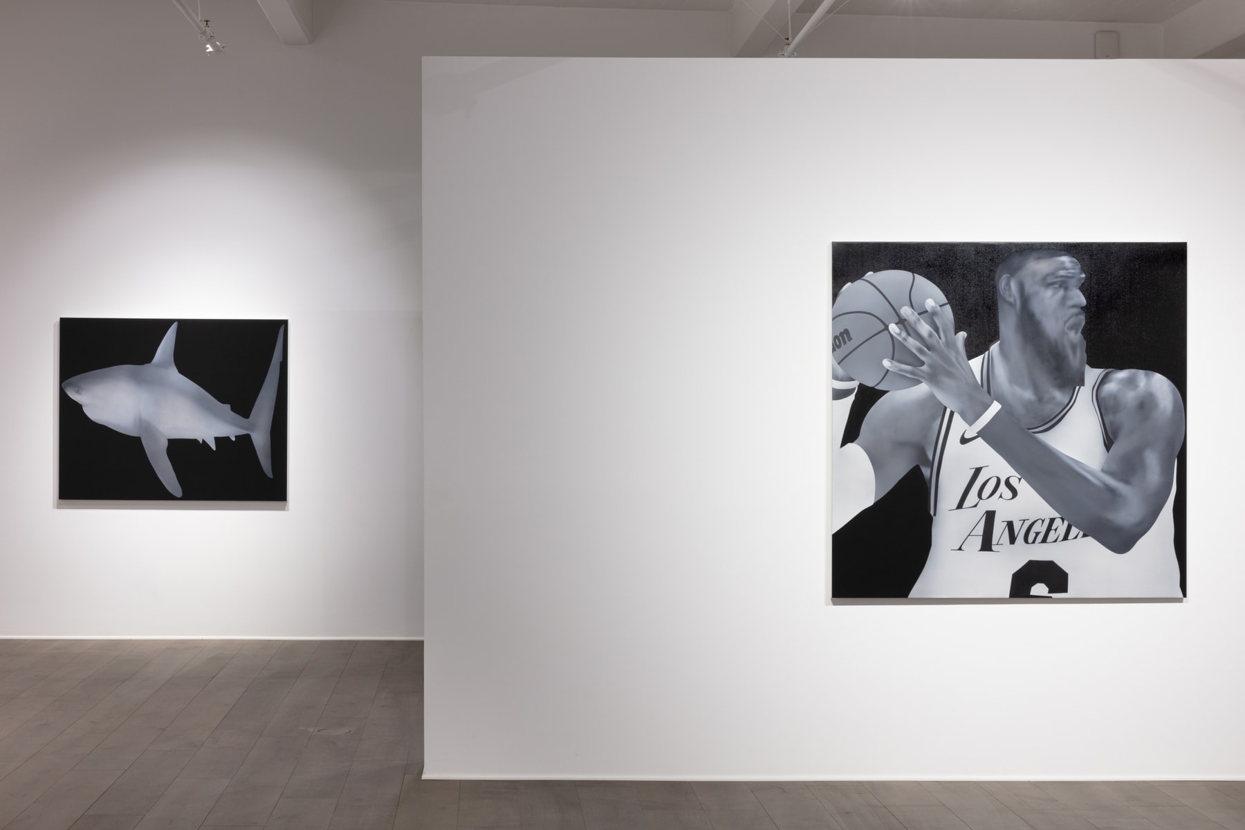 Hypeart Visits : 杜京泽