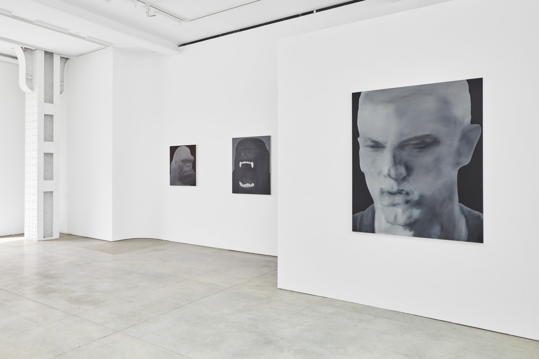 Hypeart Visits : 杜京泽