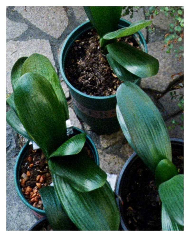 AVENUE & SON 正式发布  2023 冬季系列 DROP 3 