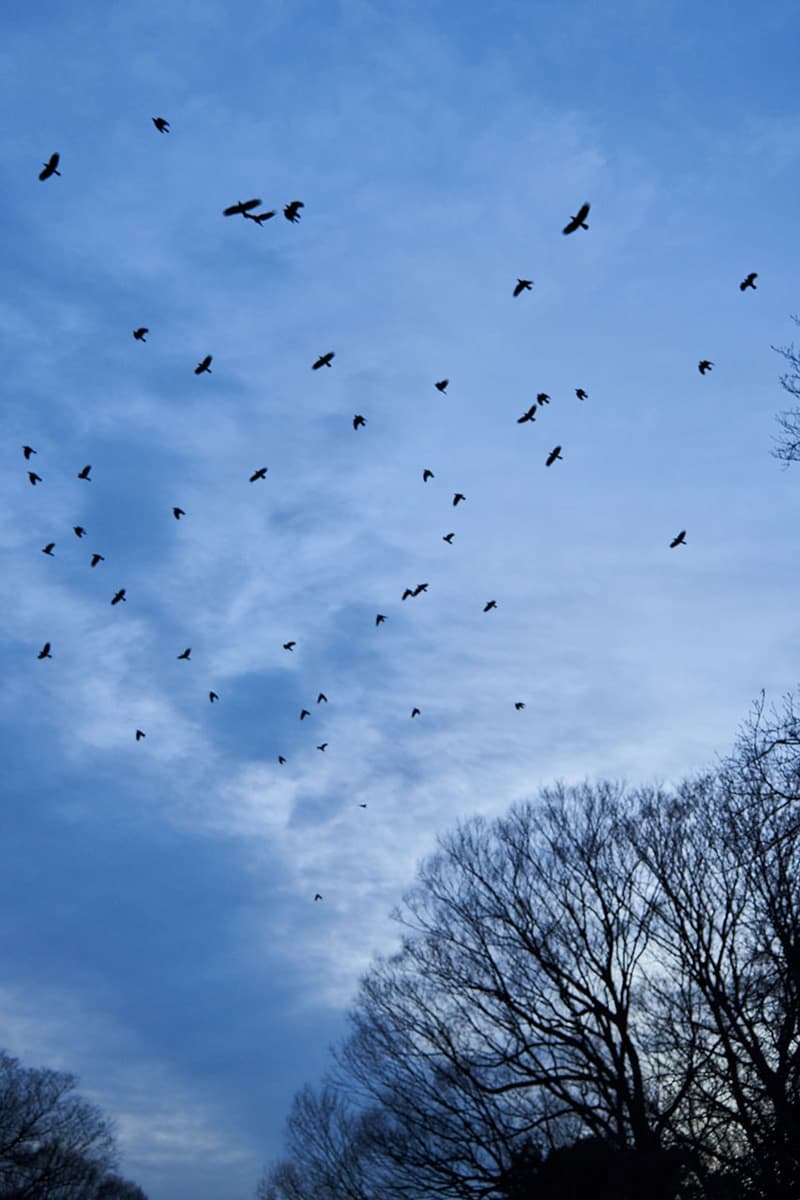 BoTT x Umbro x BEAMS T 全新三方联名系列登場