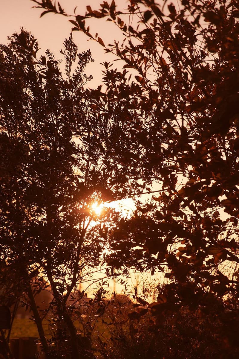 NEEDLES 發佈 2024 秋冬系列 Lookbook