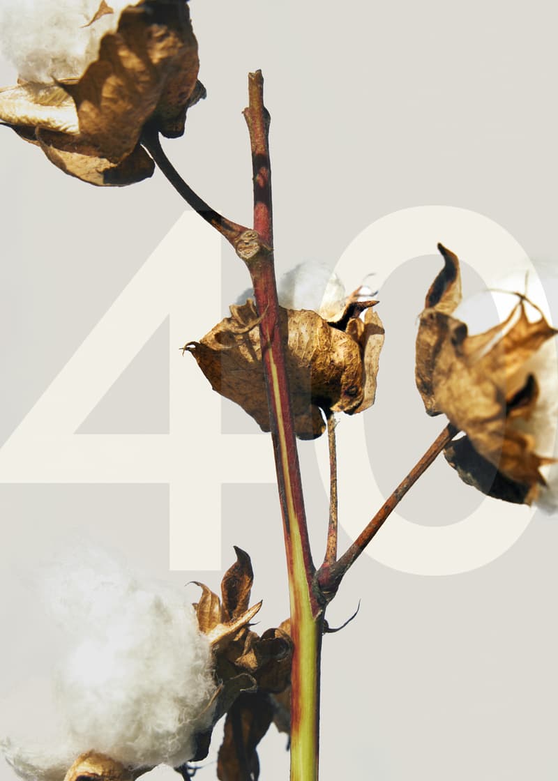 走进 PYE 派 40 周年主题活动「PYE Day」 