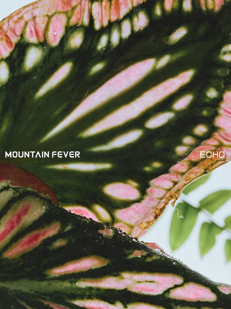 MOUNTAINFEVER 发布 2024 春夏系列「ECHO 洄声」