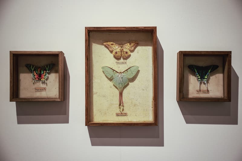 走进 ECHO OF SPRING 第一季限时展览