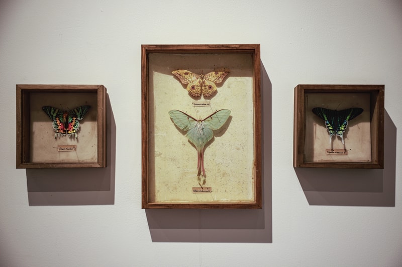 走进 ECHO OF SPRING 第一季限时展览