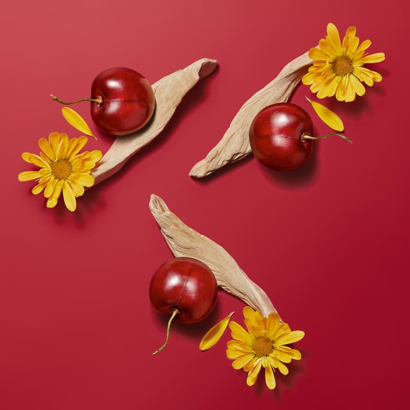 Hermès Beauty 推出全新 Hermèsistible 系列