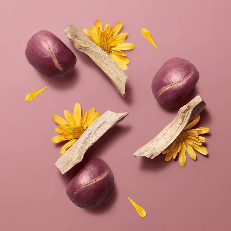 Hermès Beauty 推出全新 Hermèsistible 系列