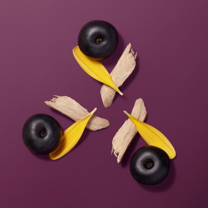 Hermès Beauty 推出全新 Hermèsistible 系列