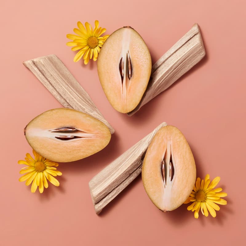 Hermès Beauty 推出全新 Hermèsistible 系列