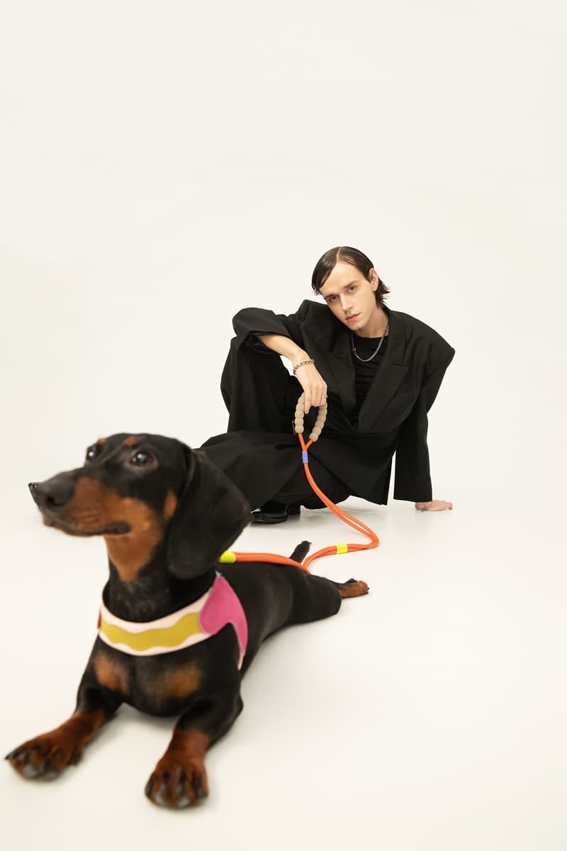 MAOGOUBLUE 推出全新「ColorFlow」系列