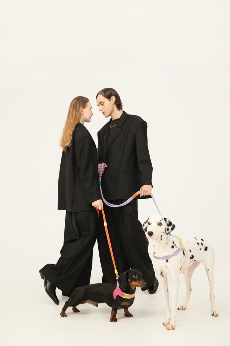 MAOGOUBLUE 推出全新「ColorFlow」系列