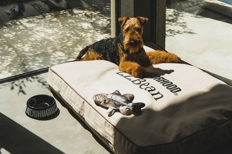 NEIGHBORHOOD 推出 2024 春夏全新寵物用品系列