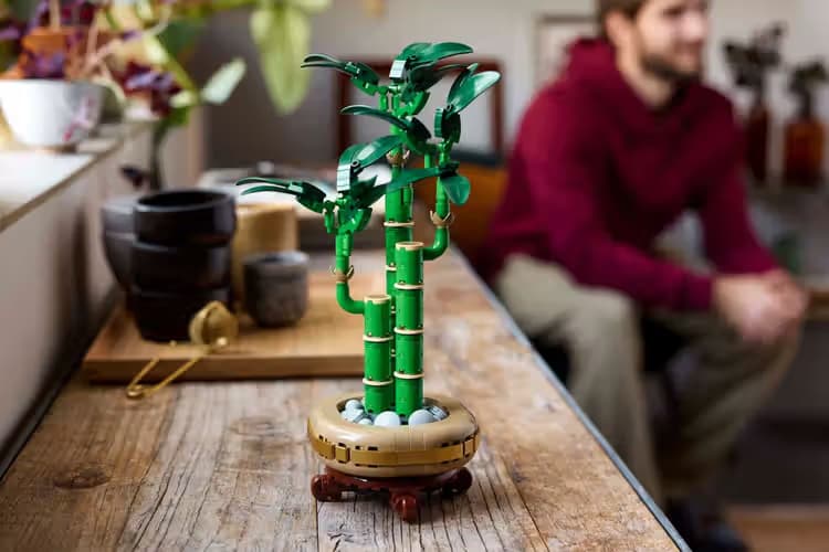 LEGO 花藝系列推出 4 款全新積木模型