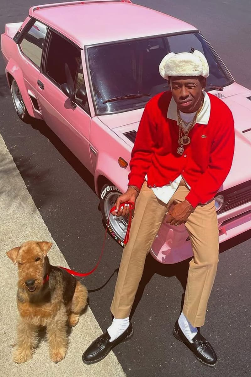 为什么时尚界更关注狗？而不是猫？