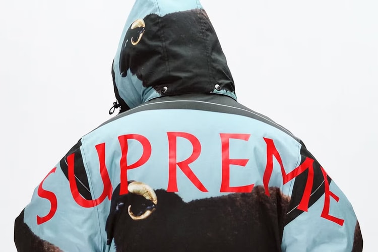 Supreme 2025 春夏系列預告率先公開