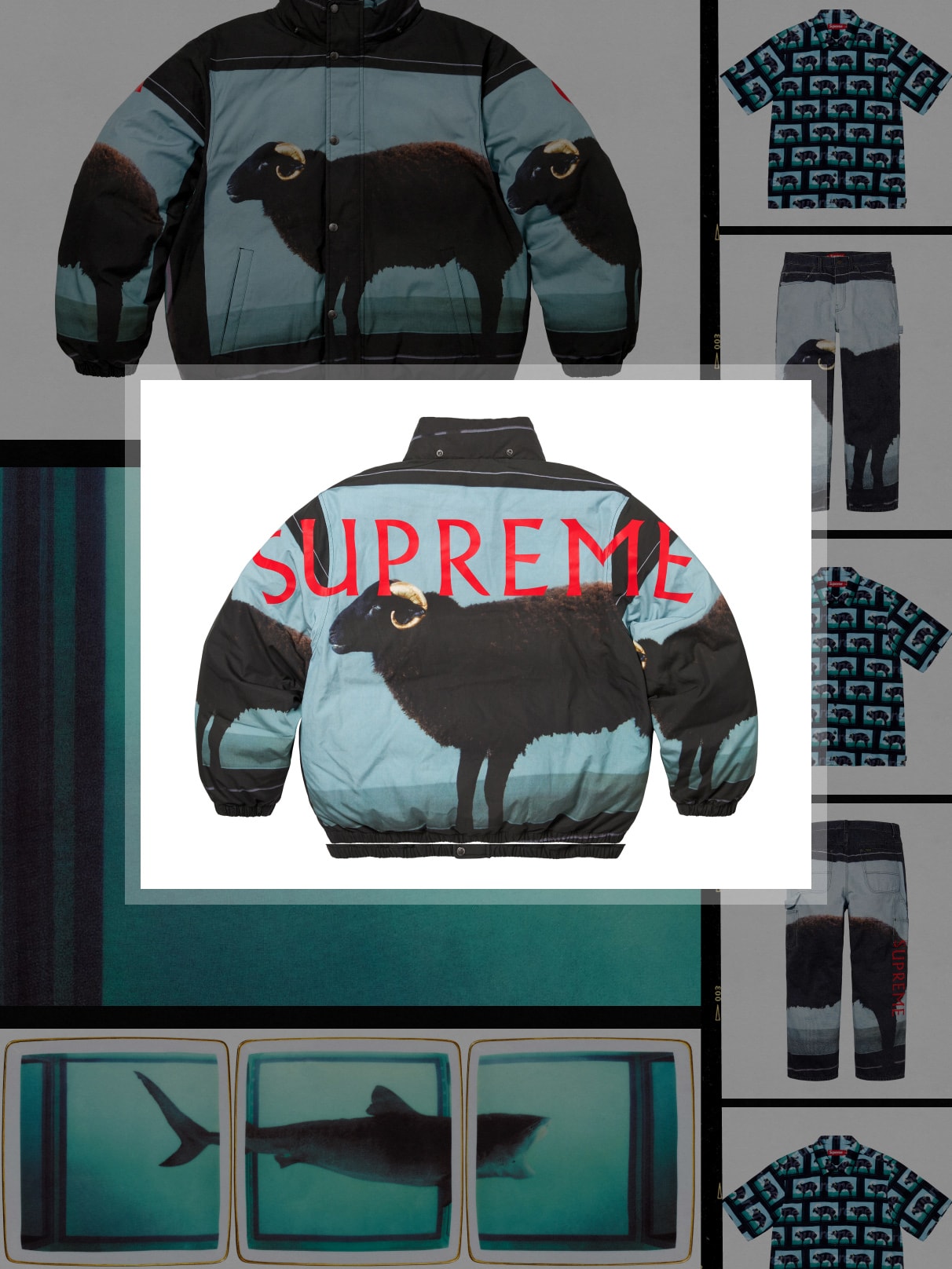 Supreme 2025 春夏系列中出现了哪些艺术家？