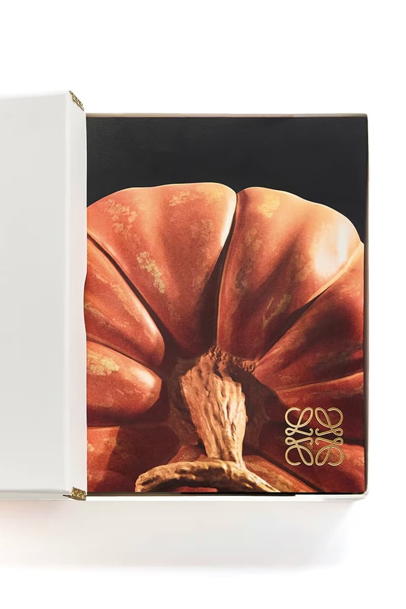 LOEWE 出版《Crafted World: Jonathan Anderson’s LOEWE》最新書籍