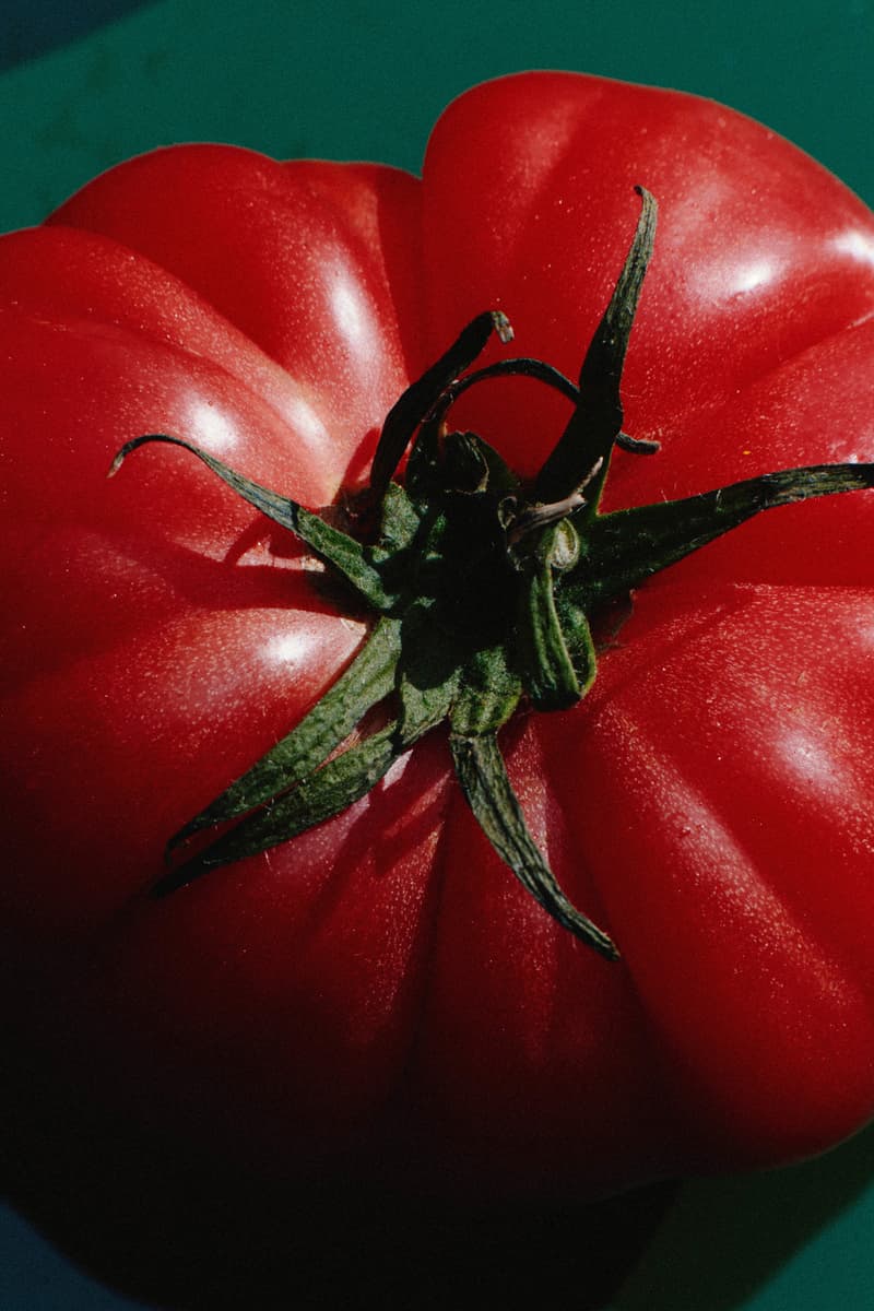 ARKET 发布 2025 春夏系列形象大片