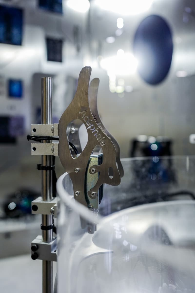 ROARINGWILD 携手 Acéphale 打造跨界合作系列