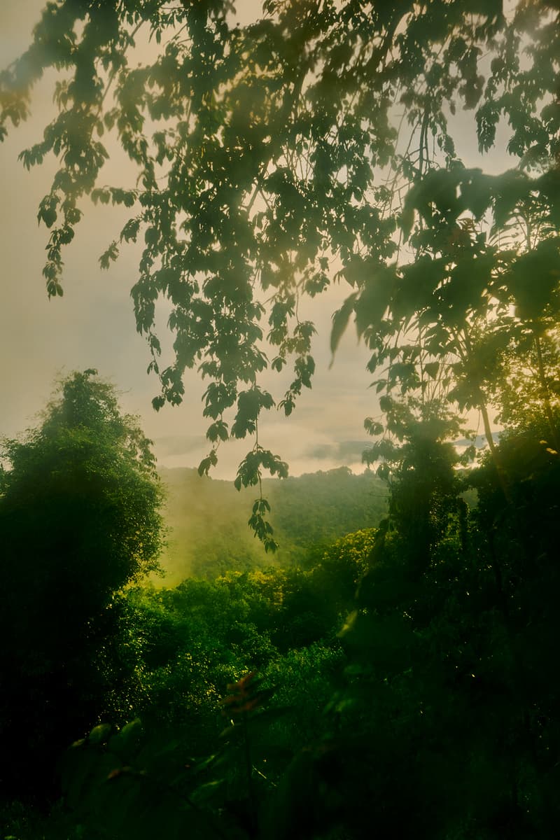 Aesop 推出全新「薇绿」香水