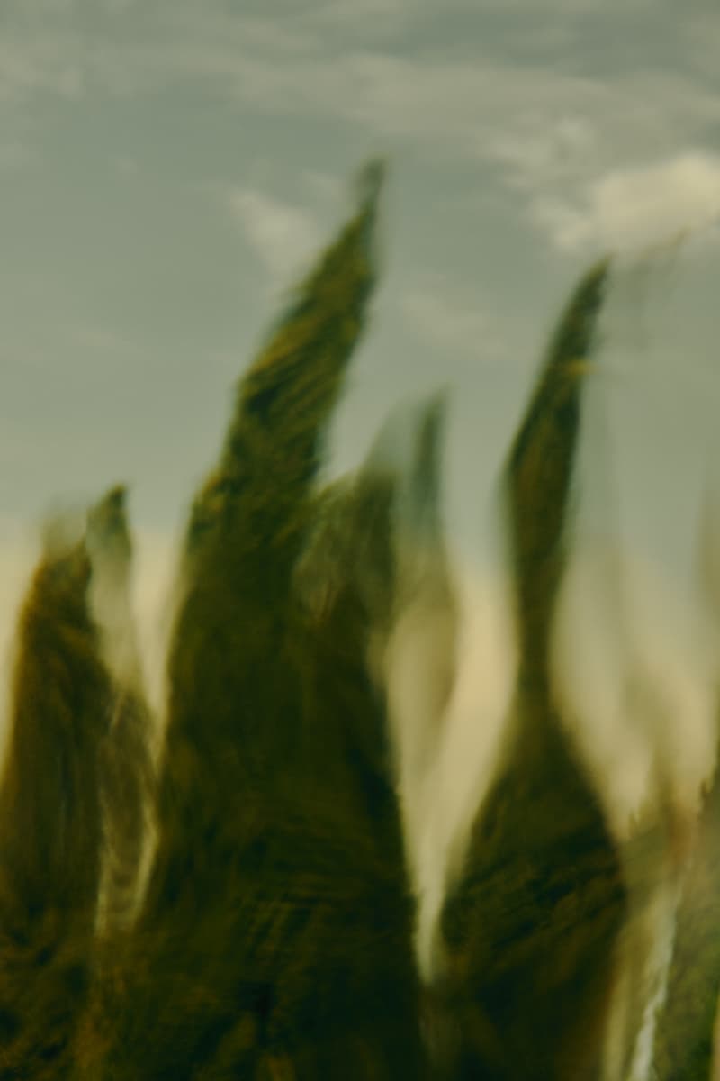 Aesop 推出全新「薇绿」香水