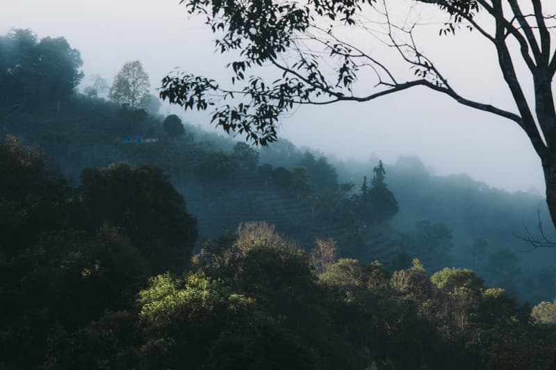 PERFUMER H 全新香水「STEAM 雾气」发布