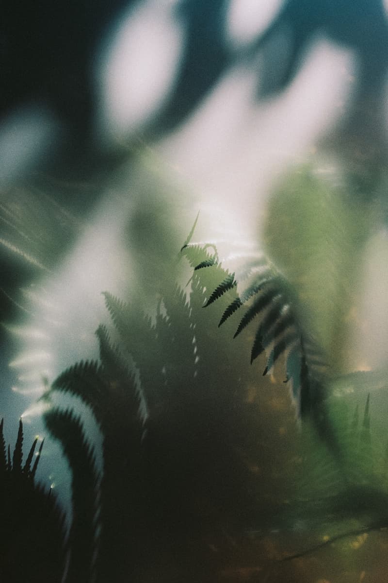 PERFUMER H 全新香水「STEAM 雾气」发布