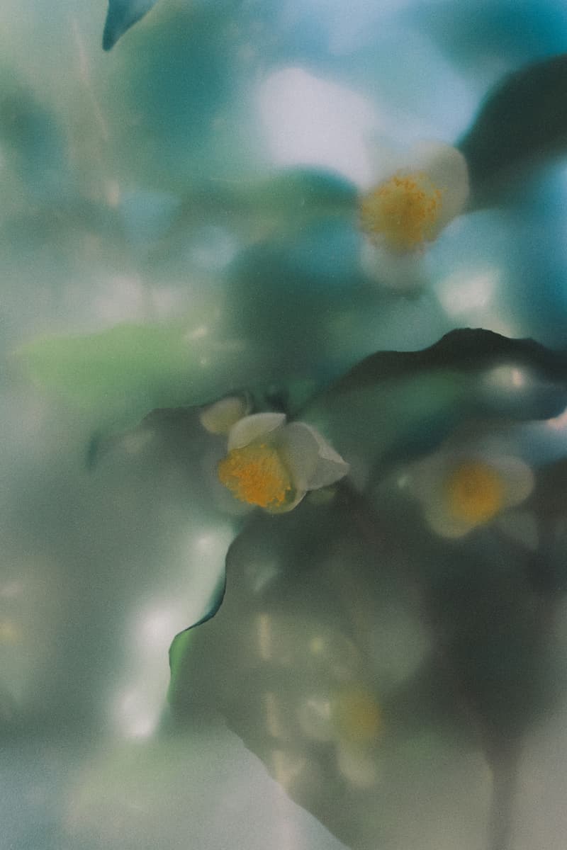 PERFUMER H 全新香水「STEAM 雾气」发布