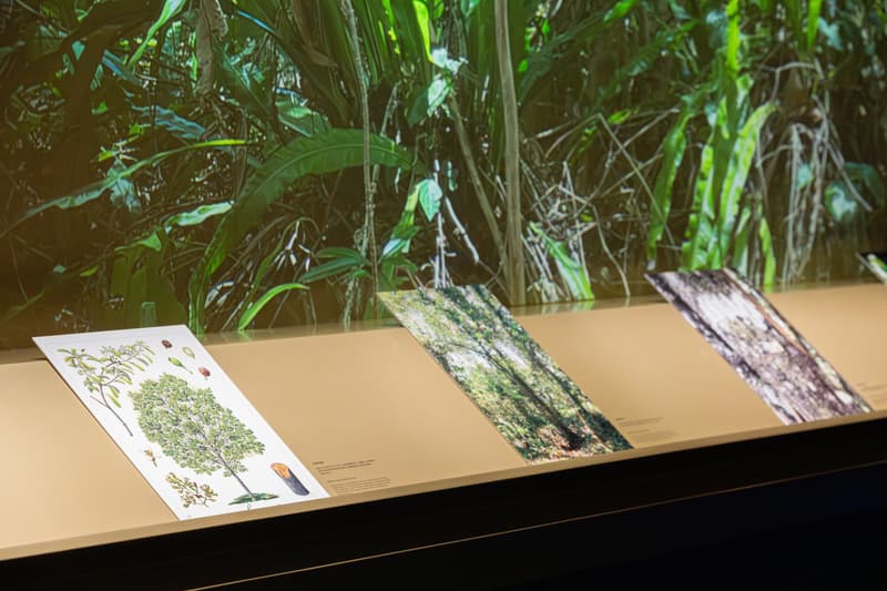 香奈儿蔚蓝珍藏限时香水空间登陆上海