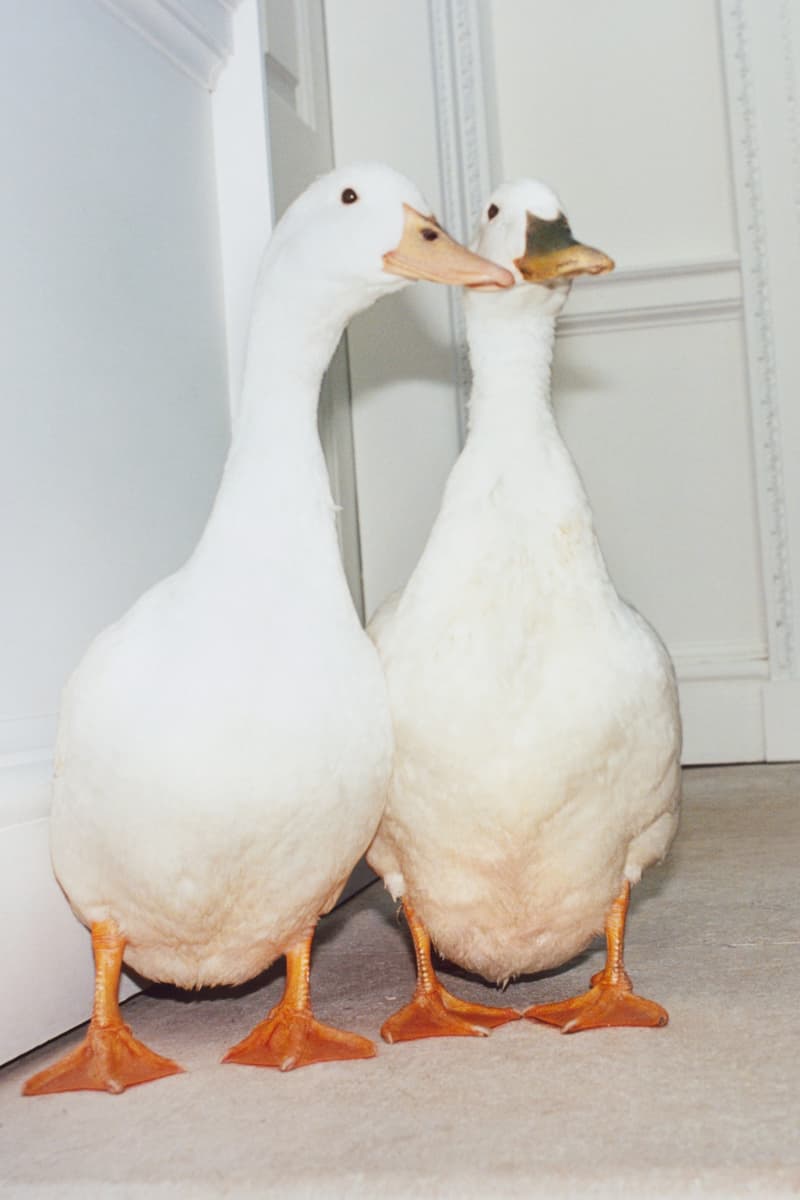 Burberry 隆重呈献 2025 冬季宣传大片《庄园漫游》