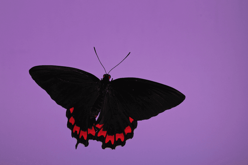 安德烈·加尔瓦尼亚洲首展《虚空迁徙至表面》于 Fotografiska 影像艺术中心呈现