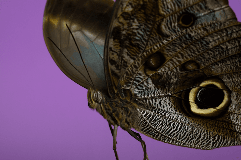 安德烈·加尔瓦尼亚洲首展《虚空迁徙至表面》于 Fotografiska 影像艺术中心呈现