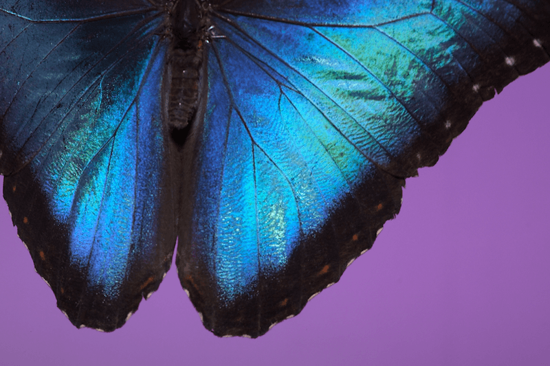 安德烈·加尔瓦尼亚洲首展《虚空迁徙至表面》于 Fotografiska 影像艺术中心呈现