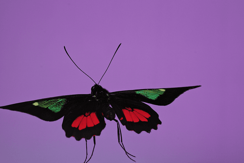 安德烈·加尔瓦尼亚洲首展《虚空迁徙至表面》于 Fotografiska 影像艺术中心呈现