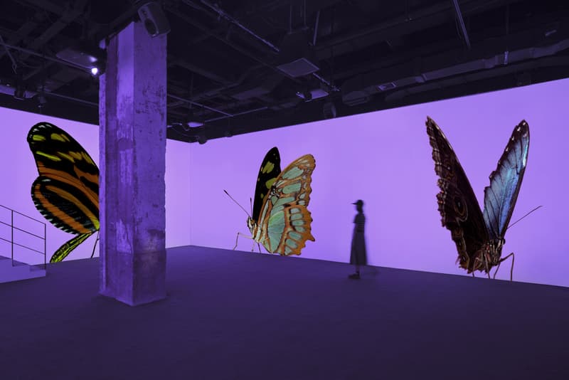 安德烈·加尔瓦尼亚洲首展《虚空迁徙至表面》于 Fotografiska 影像艺术中心呈现