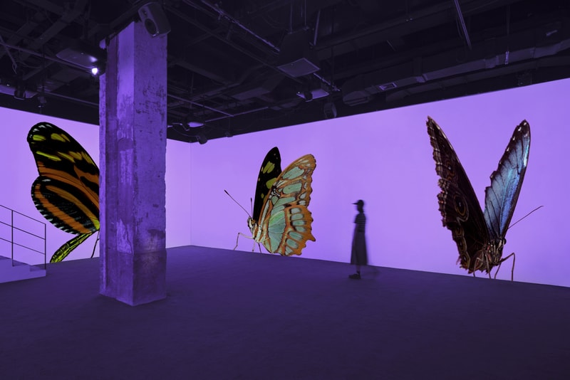 安德烈·加尔瓦尼亚洲首展《虚空迁徙至表面》于 Fotografiska 影像艺术中心呈现
