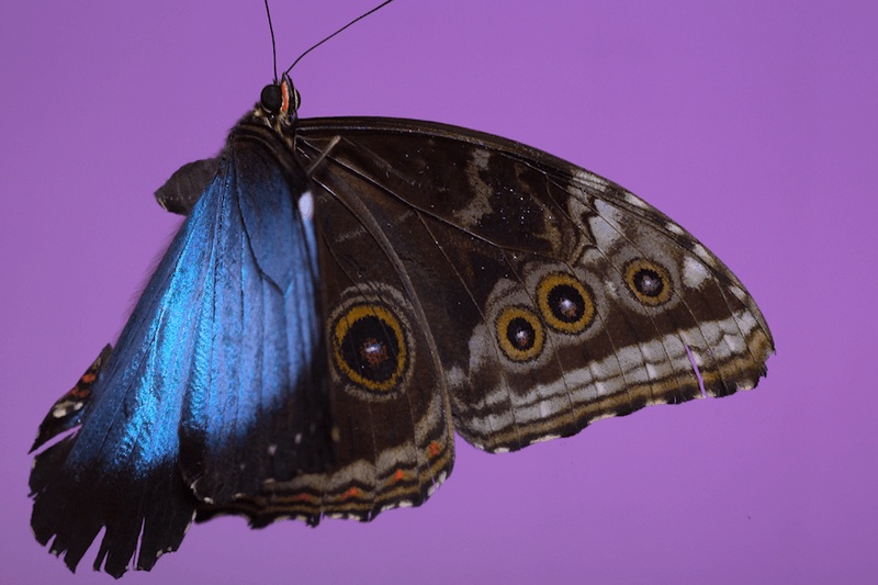 安德烈·加尔瓦尼亚洲首展《虚空迁徙至表面》于 Fotografiska 影像艺术中心呈现