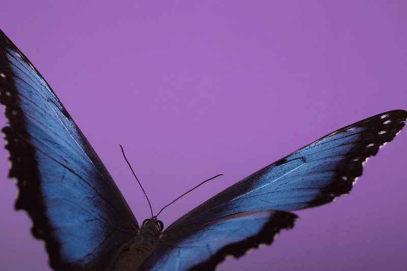 安德烈·加尔瓦尼亚洲首展《虚空迁徙至表面》于 Fotografiska 影像艺术中心呈现